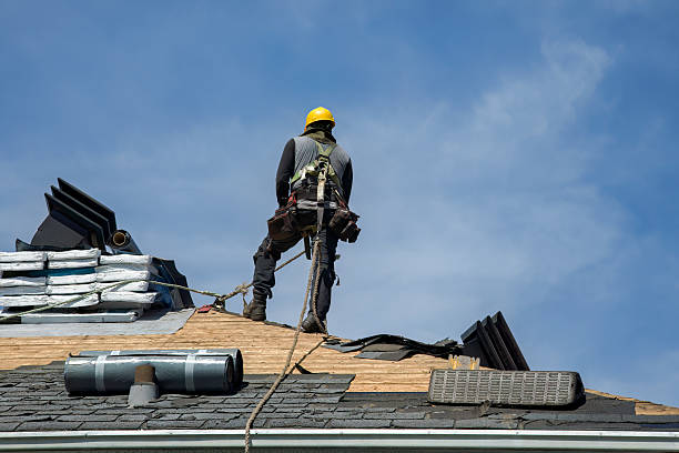 Professional Roof Replacement technician working in Browerville, MN